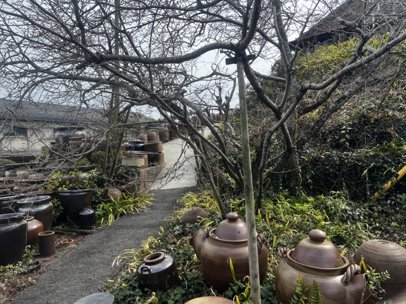 徳島県鳴門市 森陶器 登り窯