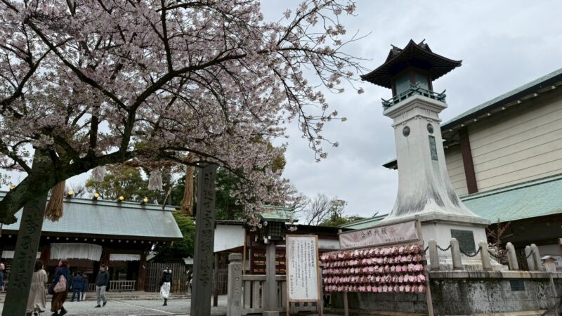 横浜 伊勢山皇大神宮 桜